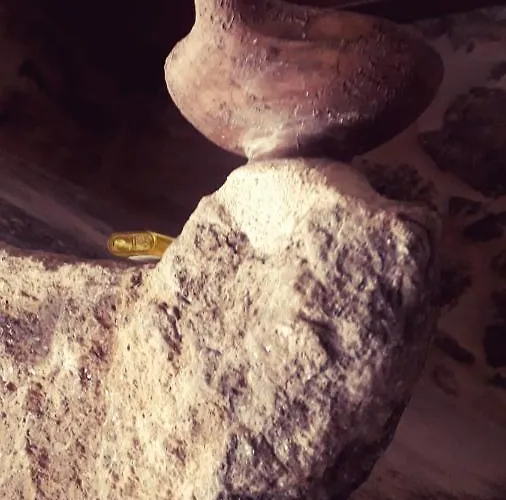 A Casina Da Palmera Tatil Evi